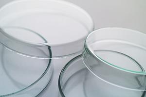 2025年最新！ICLの選び方と島田ペルソナに最適な施術ガイド