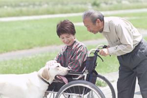 歯の痛みを小平の歯医者に相談して治療