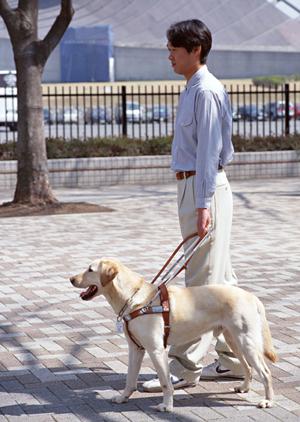 安心の港区で受けられる妊婦健診と婦人科定期検診が受けられるクリニックをご紹介！