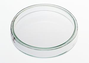 名古屋市南区で選ばれる歯医者の秘密｜痛みの少ない治療と子どもも安心の歯科医院ガイド